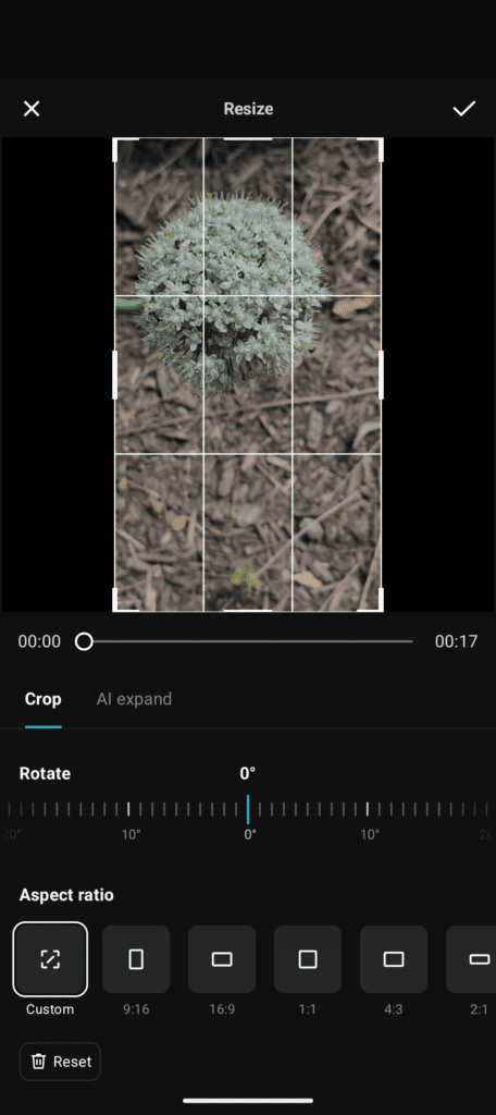Screenshot of the resize options inside CapCut with aspect ratio selections.
