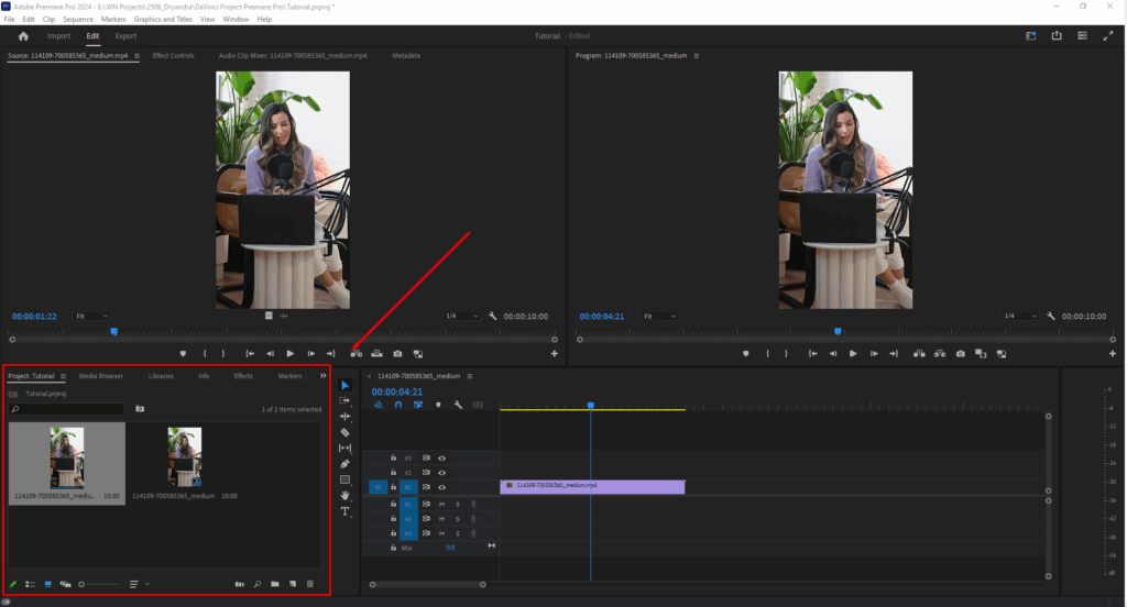 A screenshot highlighting Premiere Pro's Project panel in the Editing workspace.