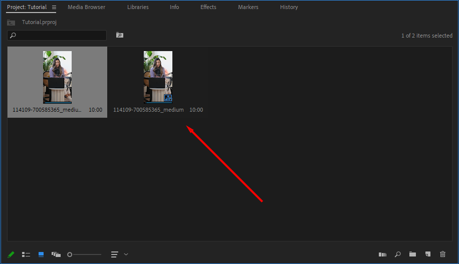 Premiere Pro's Projects panel, highlighting a sequence file.