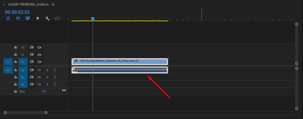 Premiere Pro's Timeline, with successfully synced video and audio clips.