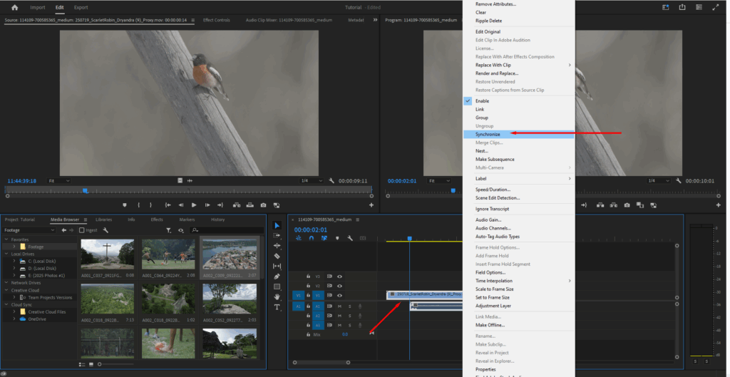 A screenshot showing the context menu when you right-click your sequence.
