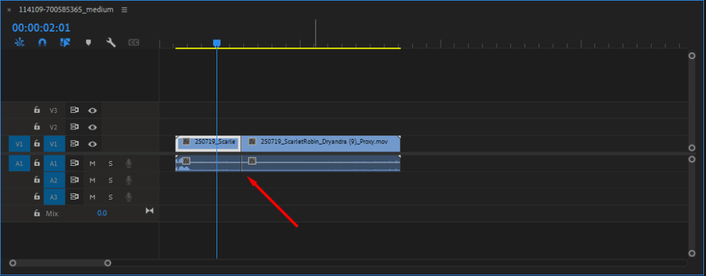 Premiere Pro's Timeline window, highlighting a cut made using the Razor Tool.