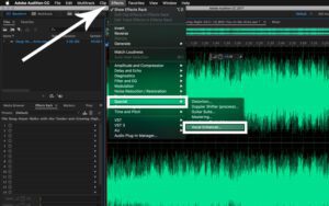 add vocals to video