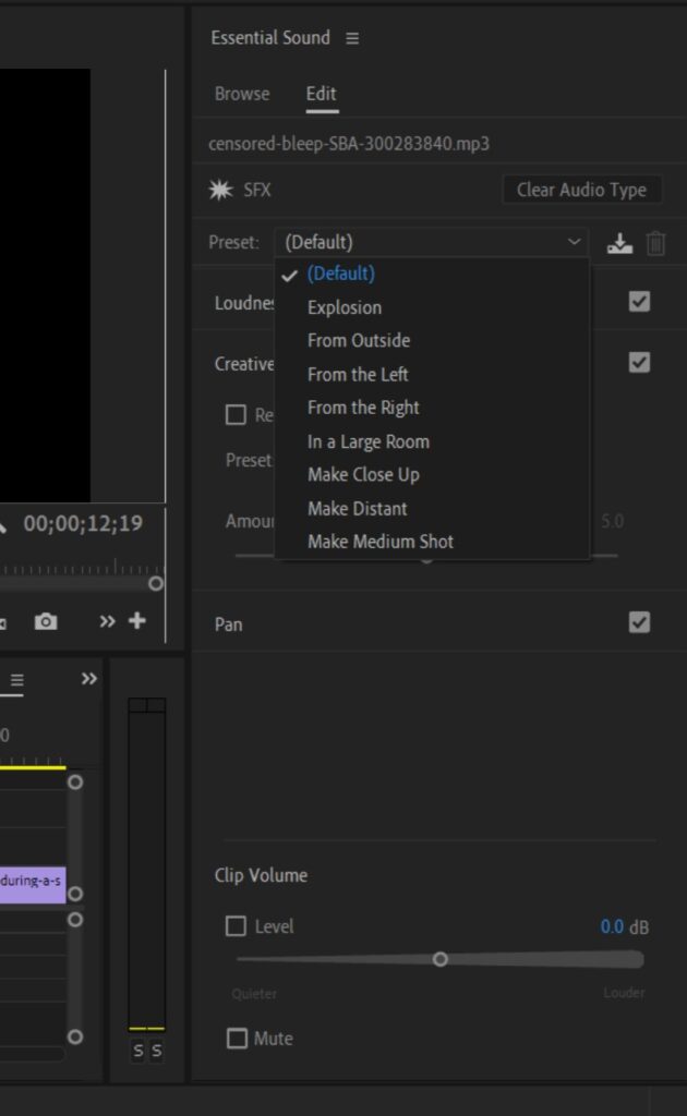 Screenshot of the Essential Sound window inside Premiere Pro showing available Presets for Sound Effects.