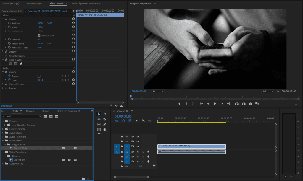 A screenshot illustrating the Black & White effect in Premiere Pro.