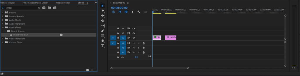 A screenshot of Premiere Pro's Effects panel showing where to find the Directional Blur effect.