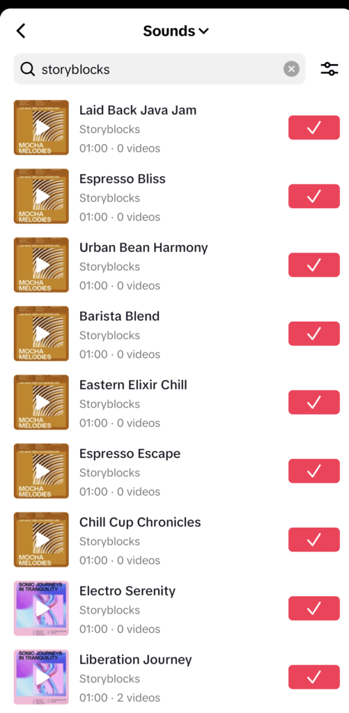 Storyblocks music tracks shown inside the TikTok music library