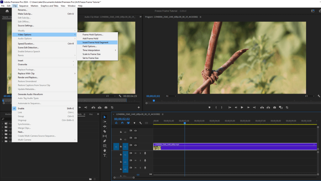 A screenshot of Premiere Pro's workspace showing how to select Clip > Video Options > Insert Frame Hold Segment.