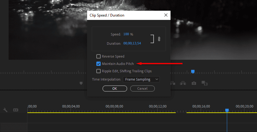 A screenshot of Premiere Pro's Clip Speed / Duration window showing how to select Maintain Audio Pitch.