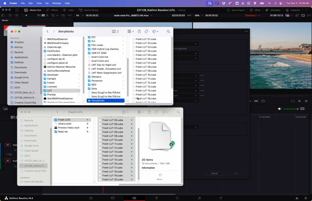 copy .CUBE files for DaVinci Resolve LUTs