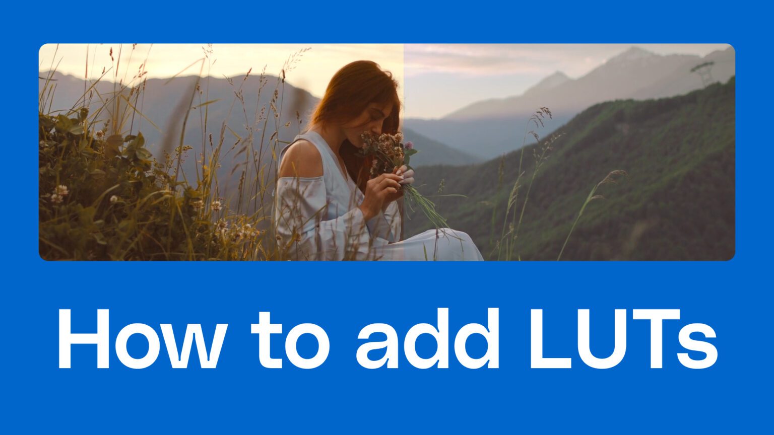 How to import LUTs into Premiere Pro