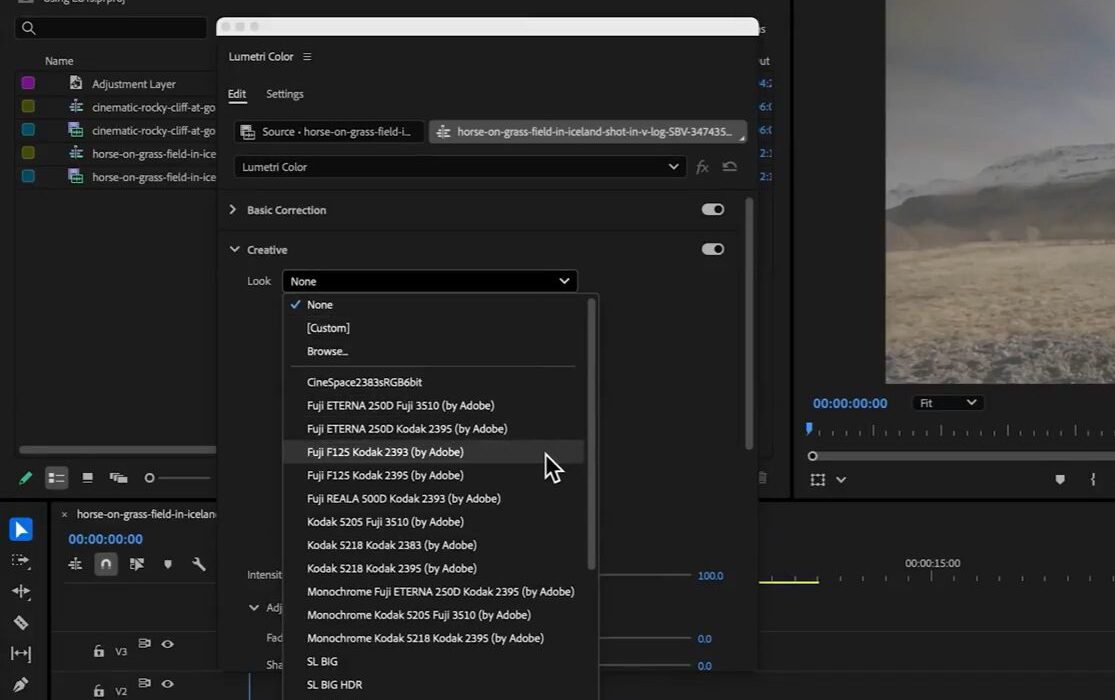 Screenshot of the Lumetri Color window with the Creative Look drop-down menu showing.