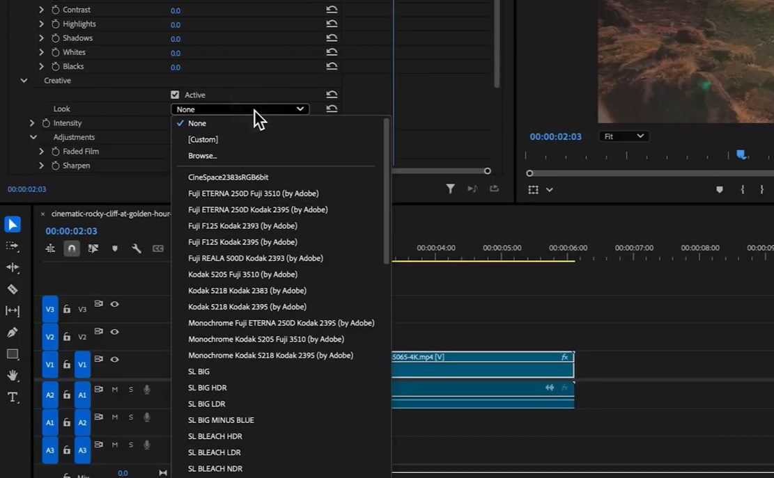 Screenshot of the Creative Look LUT drop-down menu.