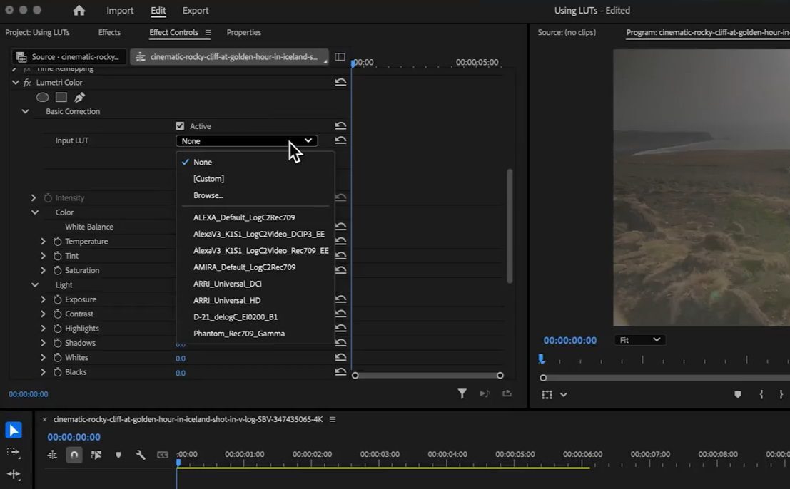 Screenshot of the Input LUT dropdown menu.