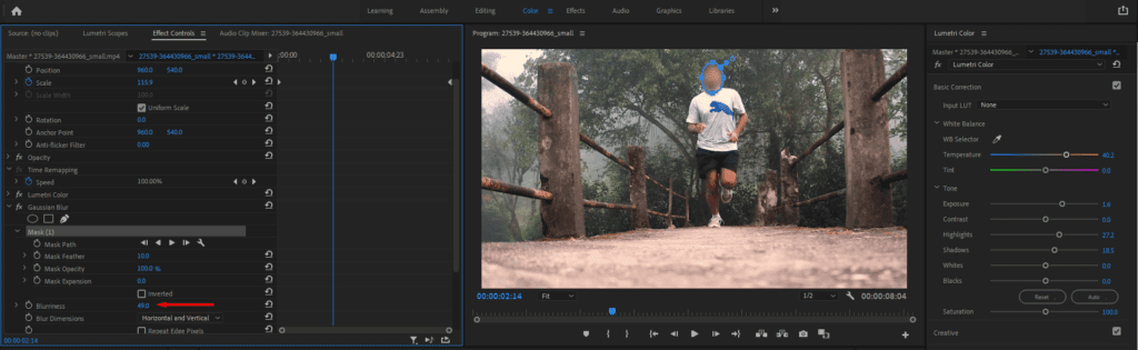 Premiere Pro's Effect Controls panel, highlighting how to add the Gaussian Blur effect to a mask.