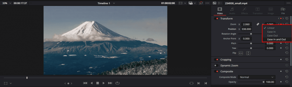 A screenshot of DaVinci Resolve's Inspector panel showing the different zoom animation options.