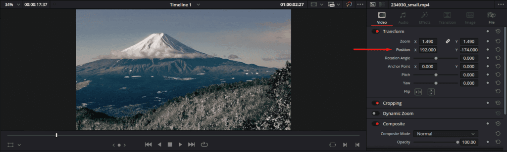 DaVinci Resolve's Inspector panel, showing the Position X and Y values.