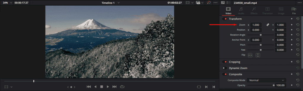 A screenshot of DaVinci Resolve's Inspector panel showing where to find the Zoom settings.