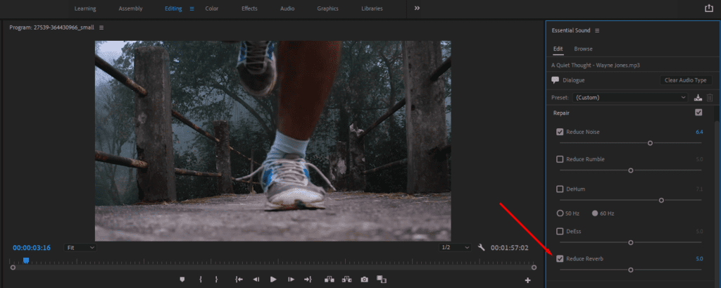 Premiere Pro's Essential Sounds option, showing where to Reduce Reverb.