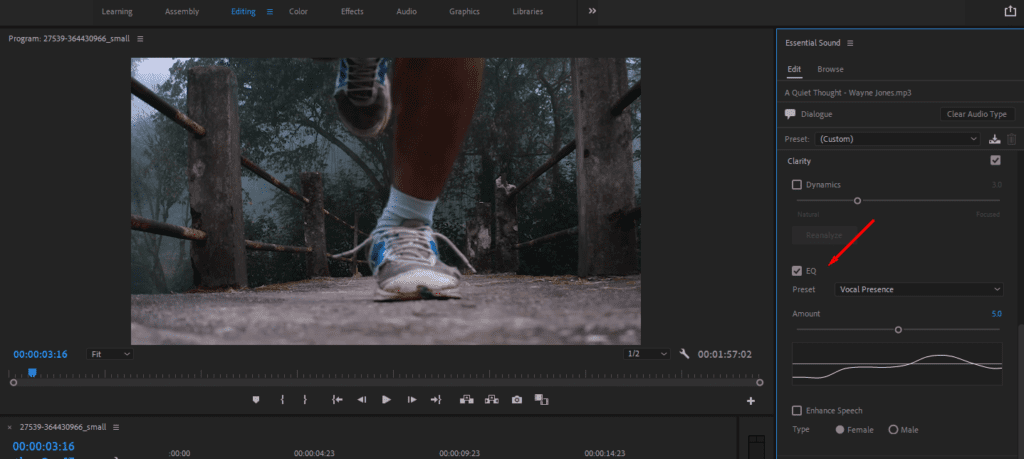A screenshot of Premiere Pro's EQ settings in the Essential Sound panel.
