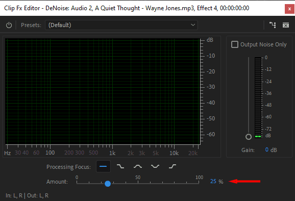 A screenshot of the DeNoise audio settings.