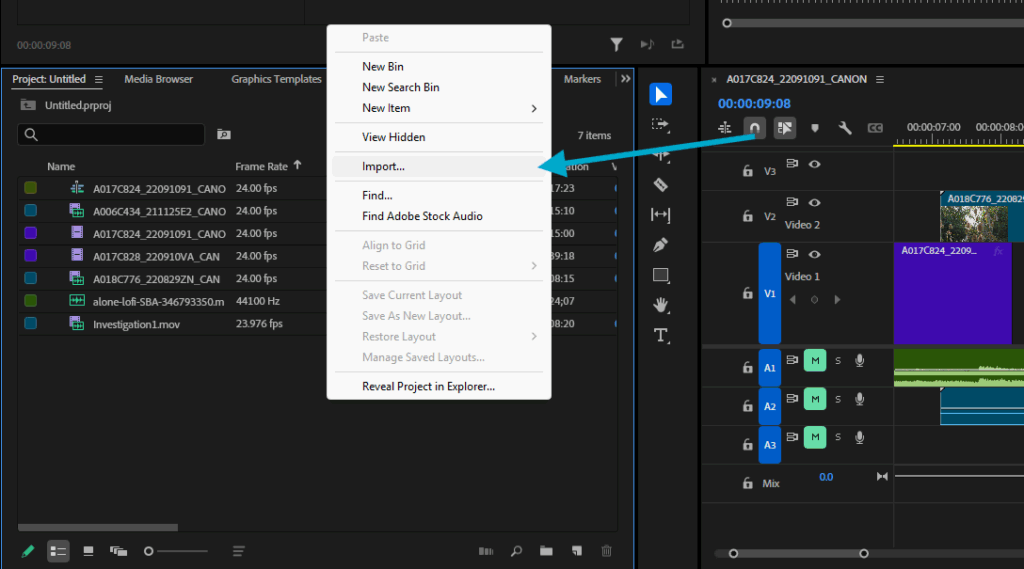 Screenshot showing the import button in Premiere Pro