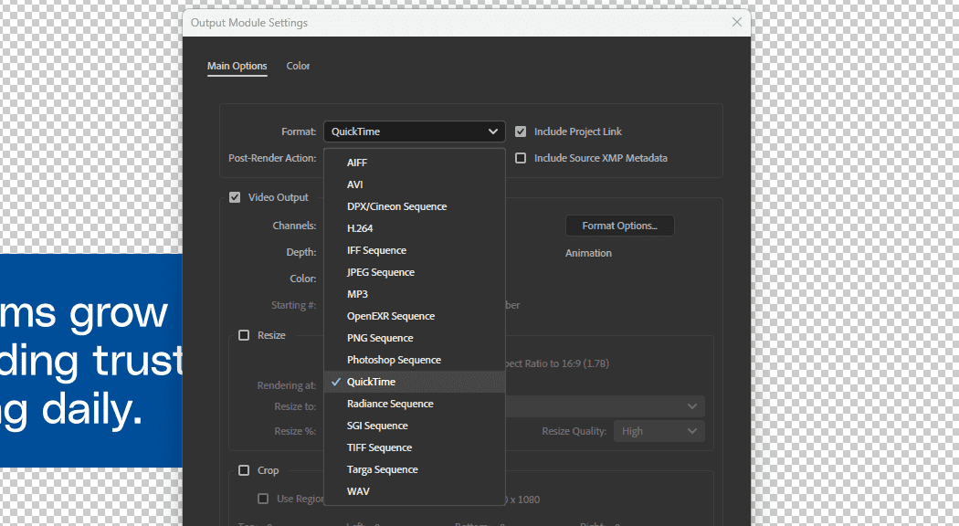 Screenshot showing the format options for the output module settings in After Effects