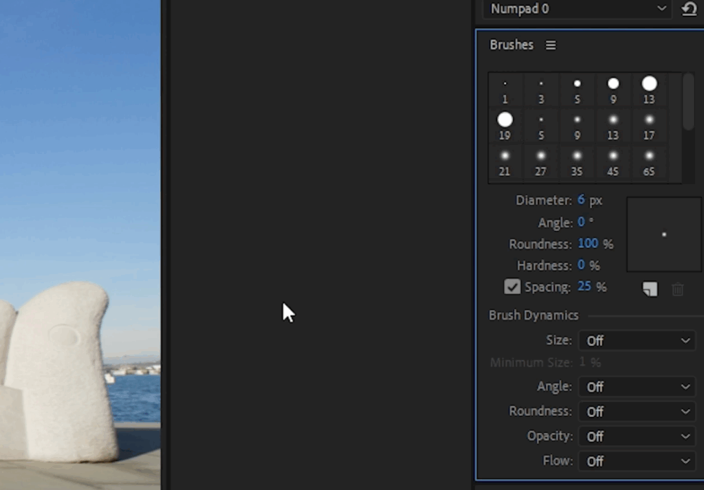 Screenshot of the Brushes menu in After Effects, showing the different settings and options for the tool
