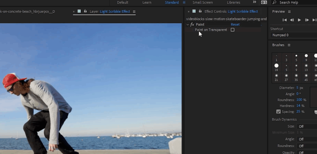 Screenshot showing the Effect Controls window in After Effects