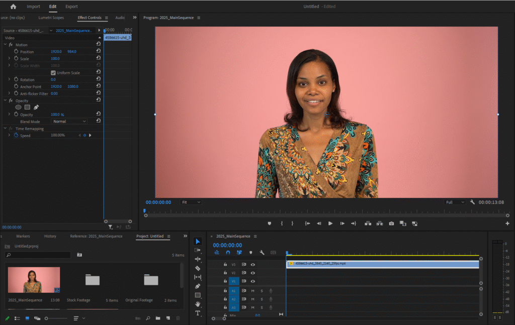  Premiere Pro's interface, showing the example clip in the Timeline.