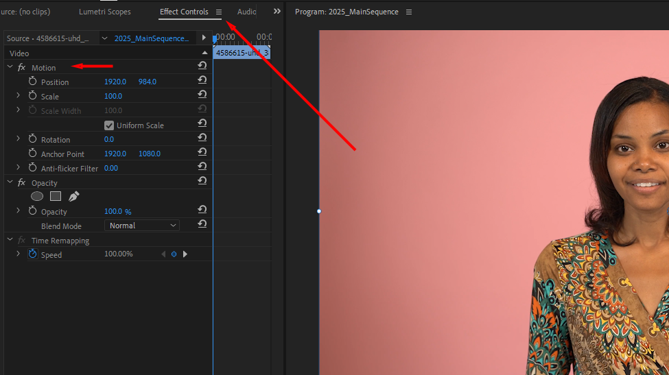 Premiere Pro's Effect Controls panel, highlighting the motion settings where you can find the scale option.