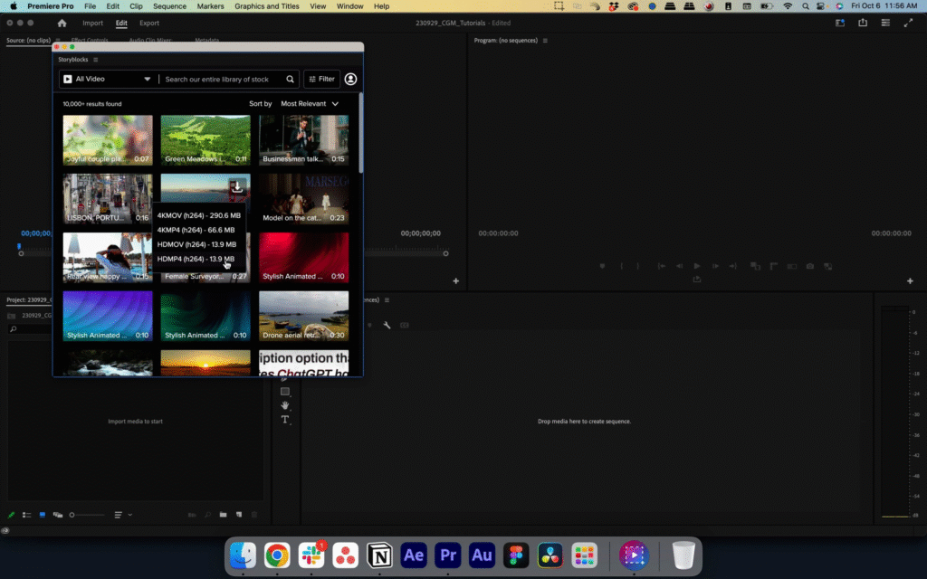 Screenshot of the Storyblocks Adobe Creative Cloud Plugin in Premiere Pro