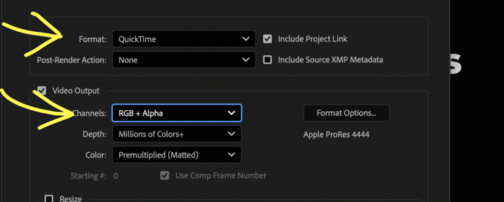Screenshot showing the render settings for a social media icon overlay with format set to quicktime and channels set to RGB + Alpha