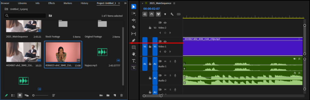 Premiere Pro's Project window, highlighting a series of video and audio clips that have been imported.